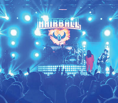 Hairball poster